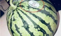 宣威网红吃瓜,吃瓜大作战幕后揭秘！