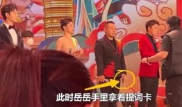 春晚彩排爆料视频大全下载,视频大全背后的精彩瞬间